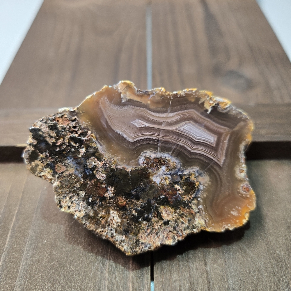 Coyamito Agate Laguna Mexico